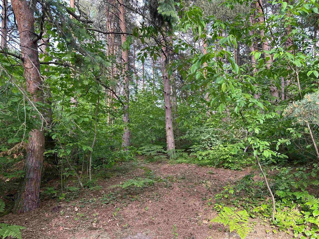 Elk Rapids Twp, MI 49648,0 Forest Drive