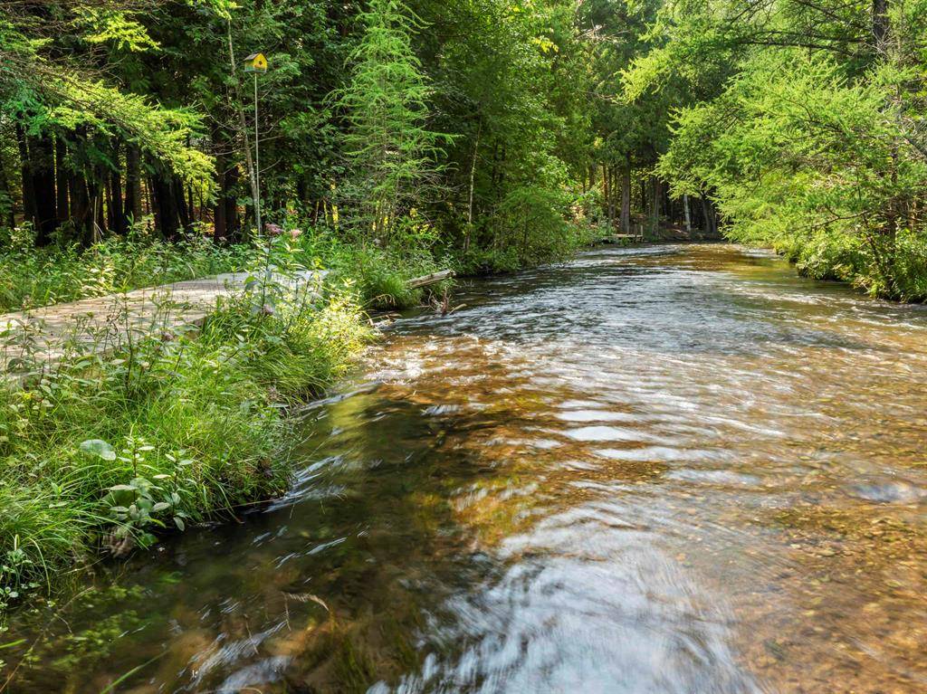 Clearwater Twp, MI 49676,5636 Aarwood Road