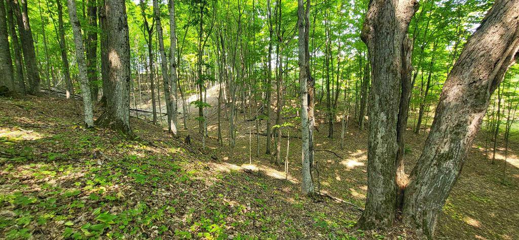 Central Lake Twp, MI 49622,TBD Veldkamp Lane