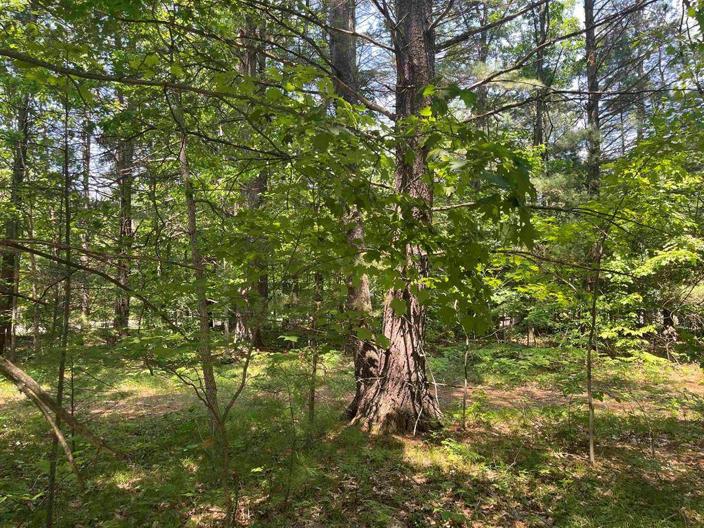 Green Lake Twp, MI 49643,Cedar Hedge Tr