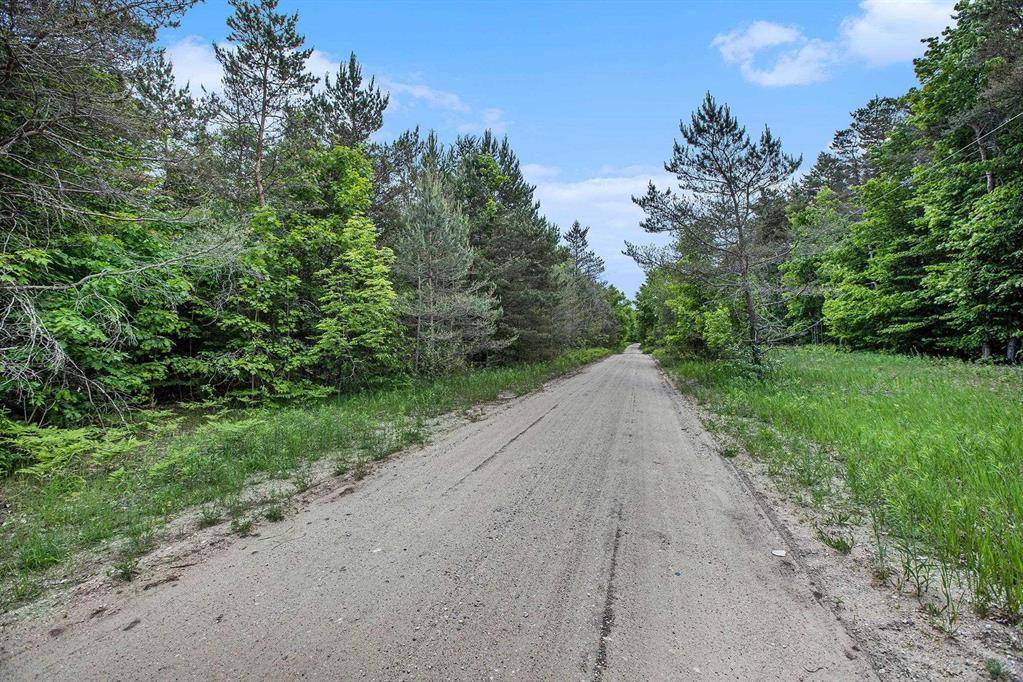 Inland Twp, MI 49643,V/L Parcel A Lamerson Lane Lot: A
