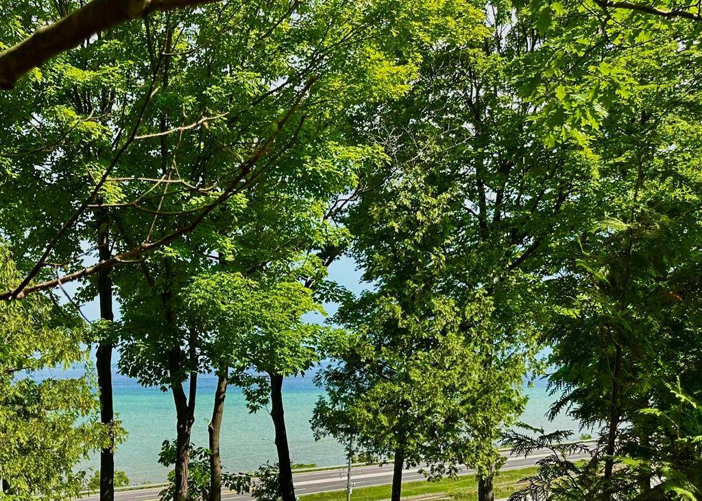 Acme Twp, MI 49686,2884 Wild Juniper Trail
