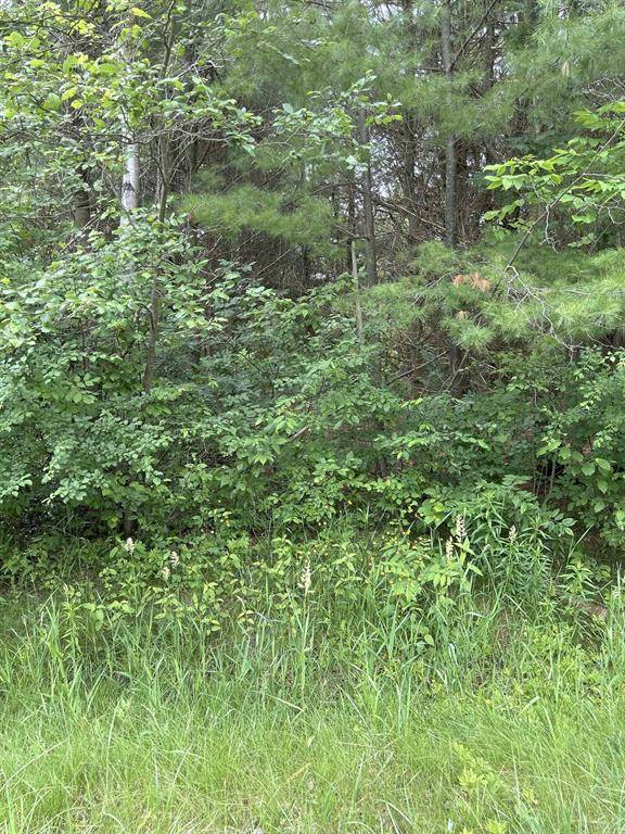 Hay Twp, MI 48624,V/L Radov Road