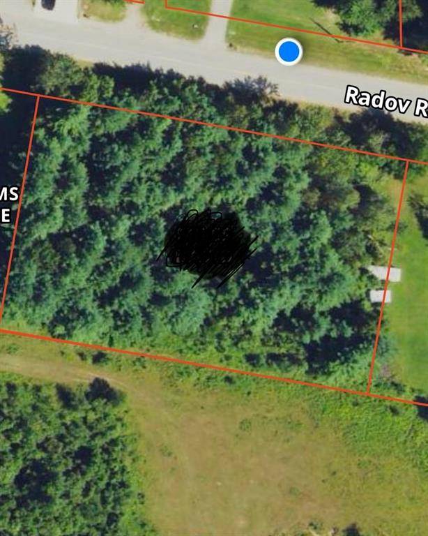 Hay Twp, MI 48624,V/L Radov Road