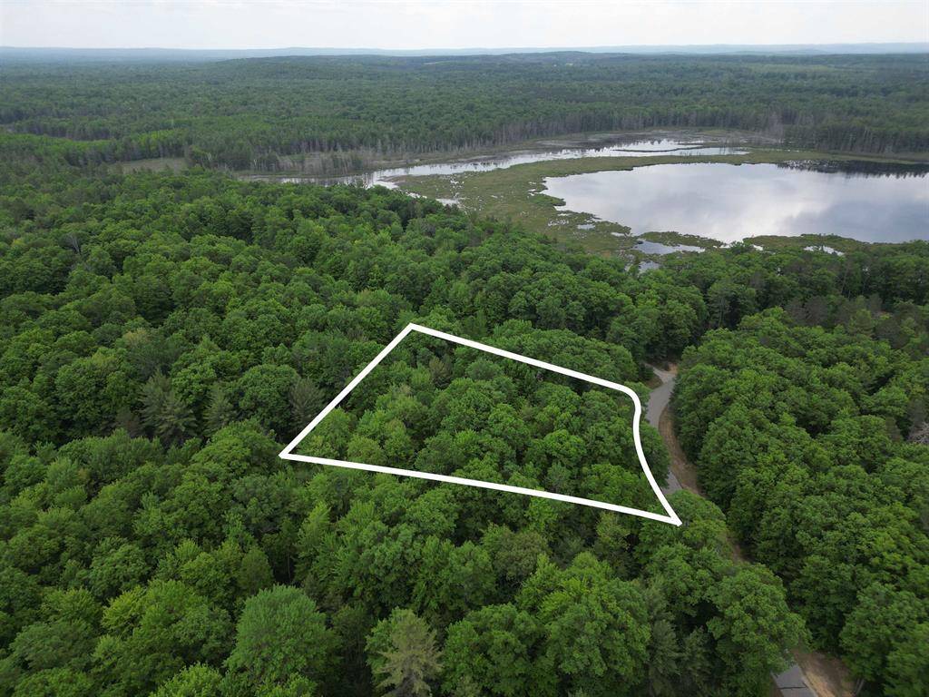 Orange Twp, MI 49646,TBD Sandhill Crane Way