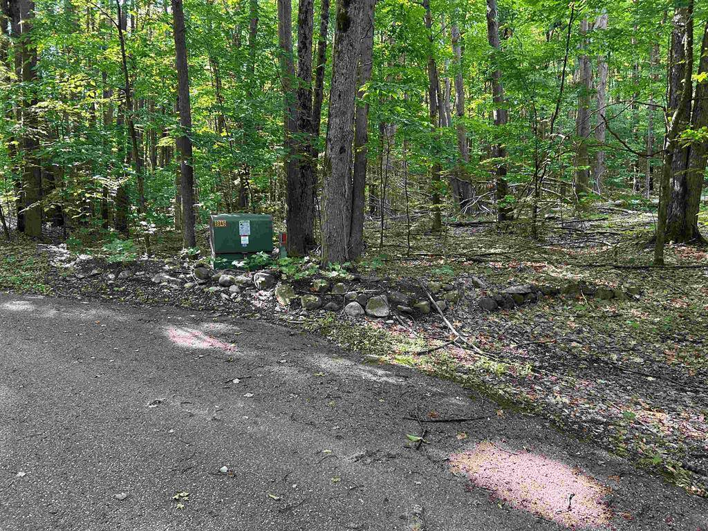 Custer Twp, MI 49615,V/L Hansel Strause E