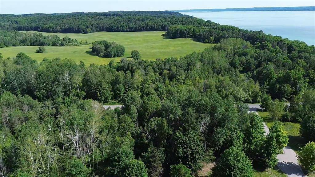 Milton Twp, MI 49676,00 Torch Hills Lane