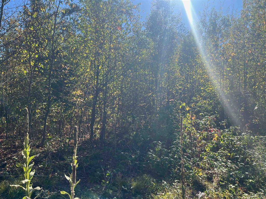 Long Lake Twp, MI 49685,8889 Hemlock Hill Drive Lot: 16