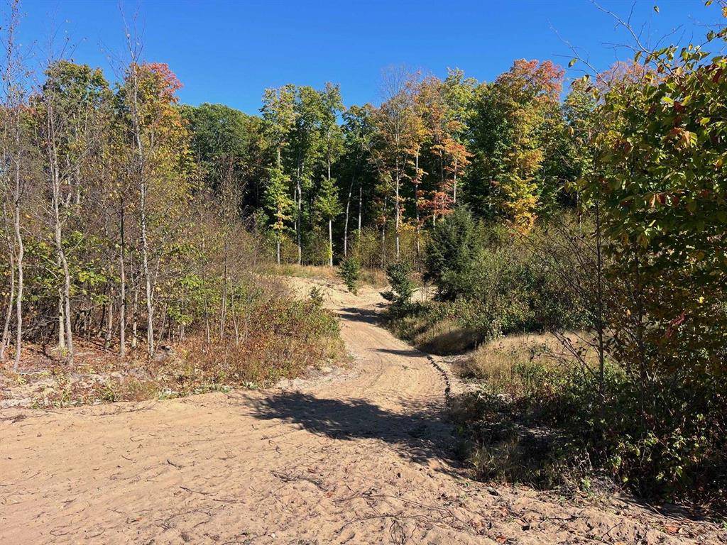 Long Lake Twp, MI 49685,8762 Hemlock Hill Drive Lot: 11