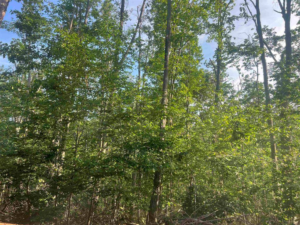 Hay Twp, MI 48624,0000 Radov Road