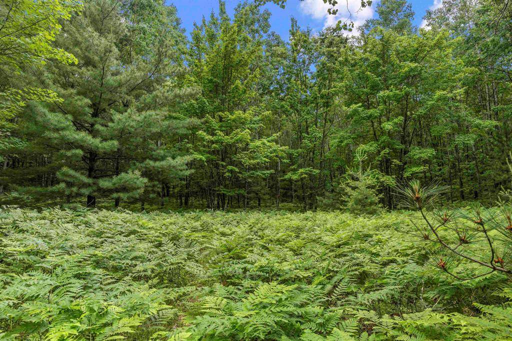 Haring Twp, MI 49601,Lot 61 Bramblewood Drive Lot: 61