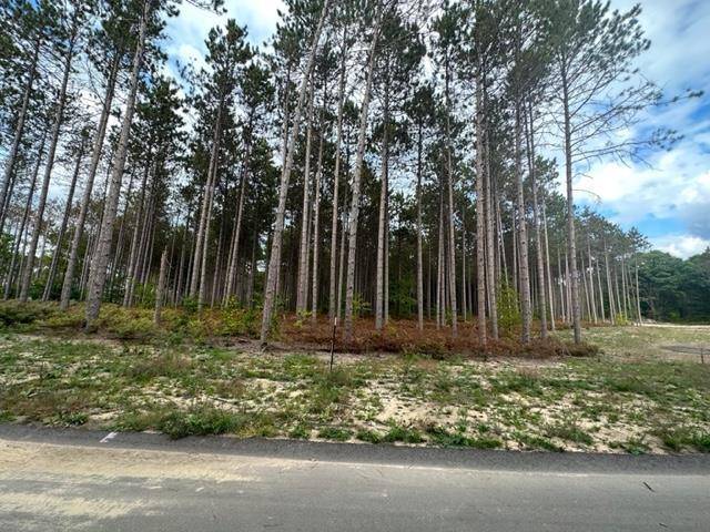 Long Lake Twp, MI 49685,Lot 39 Cascade Trail
