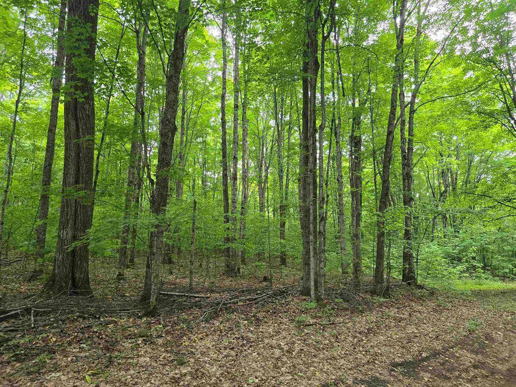 Mancelona Twp, MI 49659,VL Wildwood (10 acres)