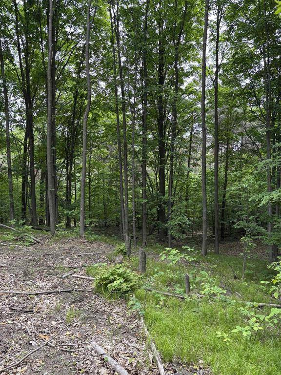 Cedar Creek Twp, MI 49663,Parcel A N 45 Road