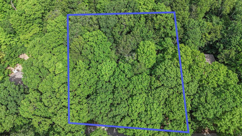 Lake Twp, MI 49617,Lot 4 Spring Valley Road