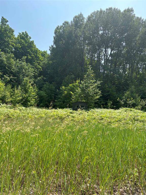 Helena Twp, MI 49615,7275 Alden Highway