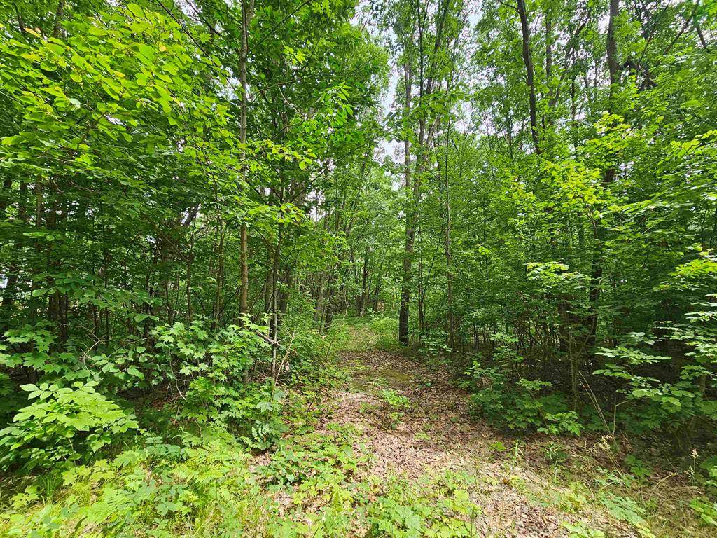 Highland Twp, MI 49665,6509 Mareny Drive
