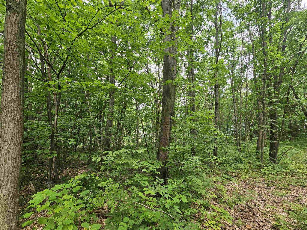 Highland Twp, MI 49665,6509 Mareny Drive
