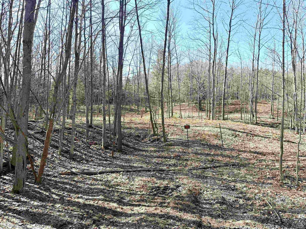 Cleveland Twp, MI 49664,161 W Nachazel Road