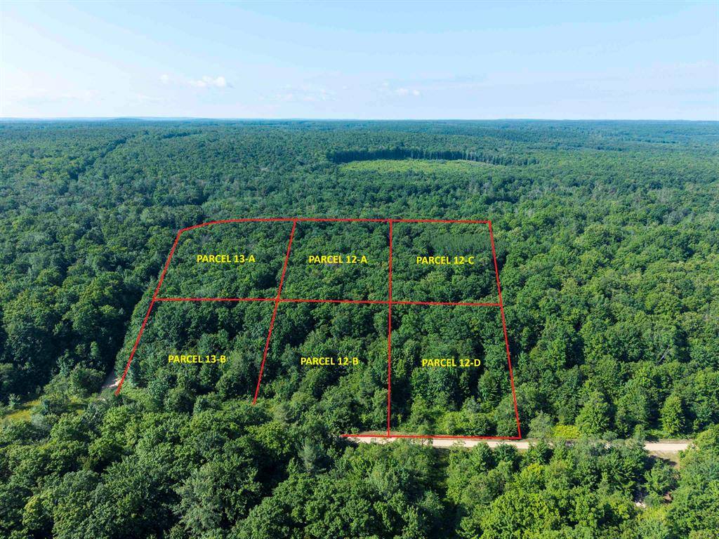 Star Twp, MI 49730,12-D Plainfield Trail Lot: 12-D