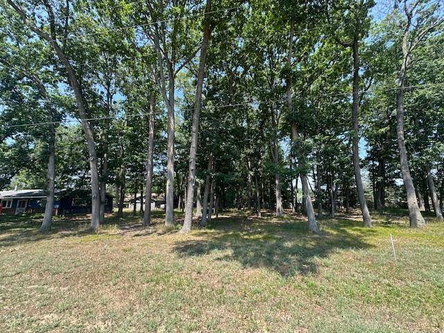 Denton Twp, MI 48651,0 Bright Angel Drive