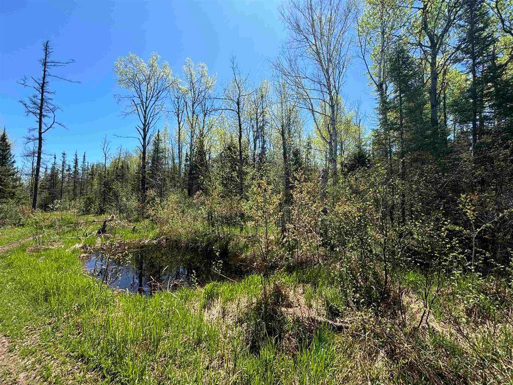 Pickford Twp, MI 49774,VL 80A W M-48