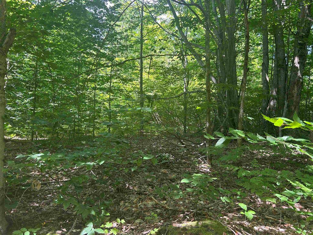 Custer Twp, MI 49659,Parcel 9 Trail 33 Lane