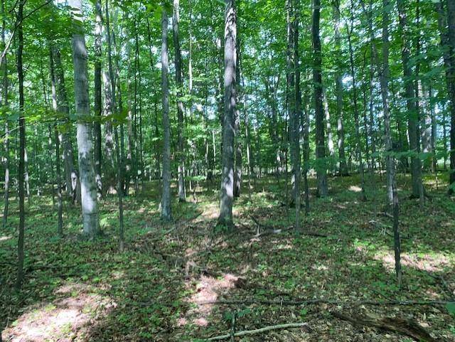 Milton Twp, MI 49676,00 Birch Lake Road