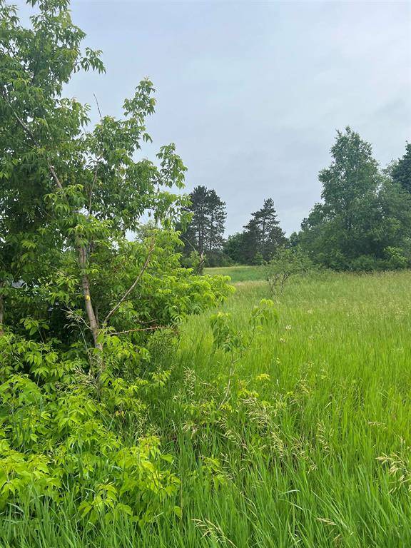 Colfax Twp, MI 49683,15040 North Street