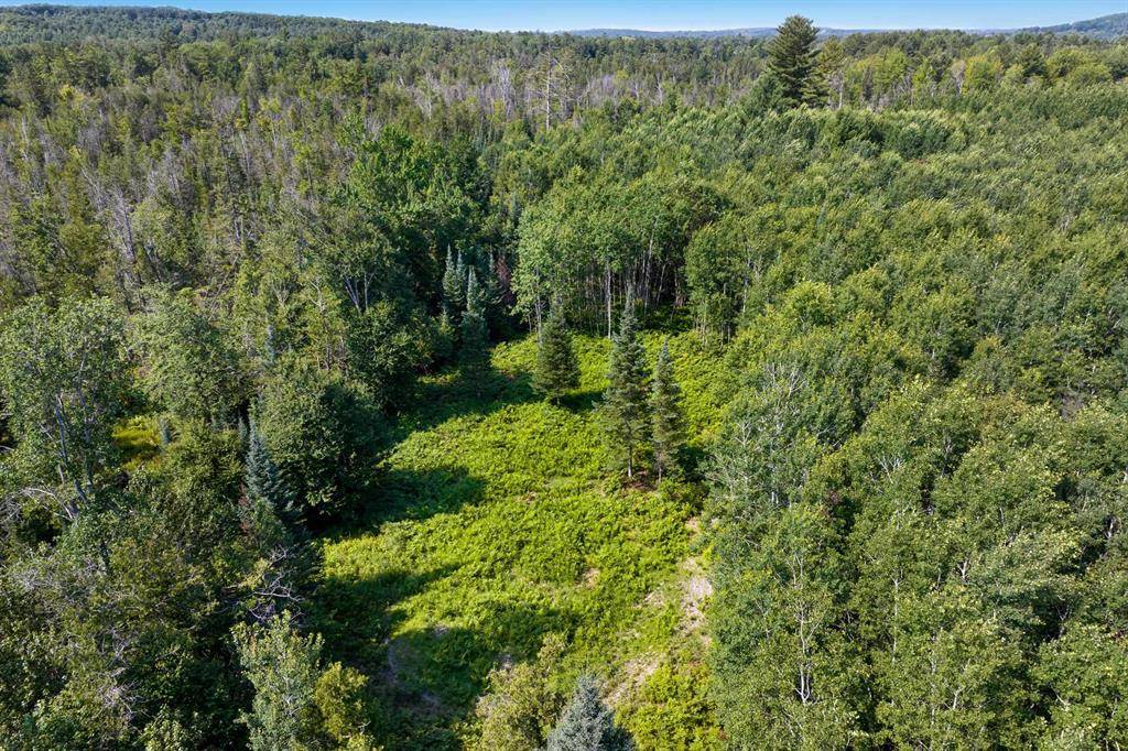 Kearney Twp, MI 49615,00 Aero Park Drive
