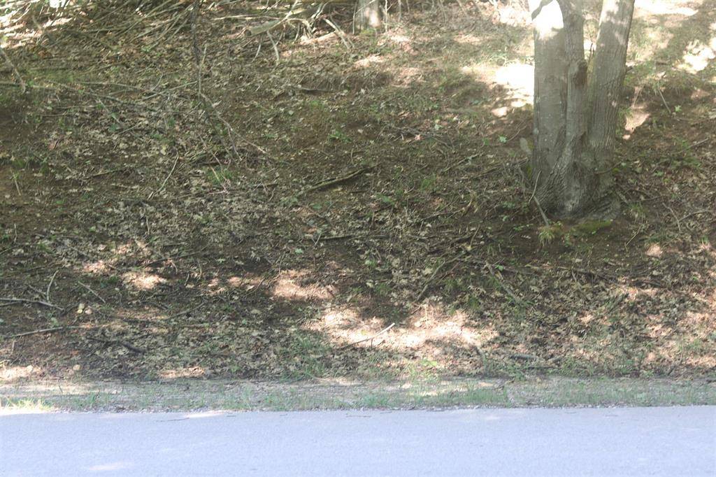 Lake Twp, MI 49617,Lot 20 Crystal View Lot: 20