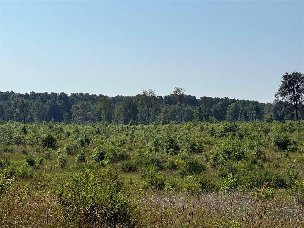 Kasson Twp, MI 49664,Parcel A1 E Kasson Road