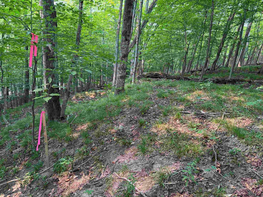 Kasson Twp, MI 49621,Lot #3 E Bellinger Road Bellinger Estates