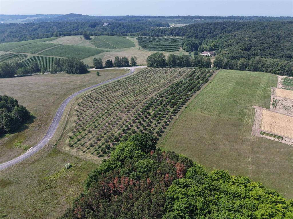Leelanau Twp, MI 49670,V/L N Matheson Road