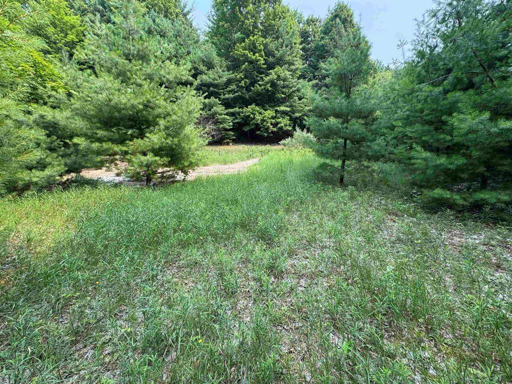 Kasson Twp, MI 49621,Lot #4 E Bellinger Road Bellinger Estates