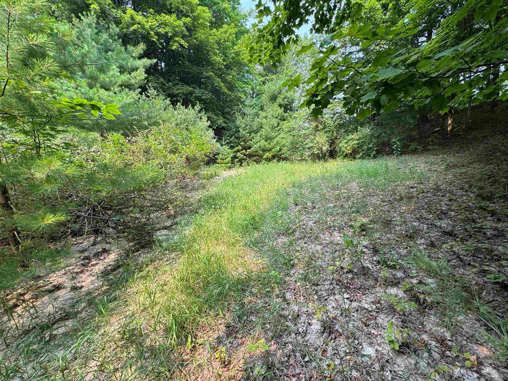 Kasson Twp, MI 49621,Lot #4 E Bellinger Road Bellinger Estates