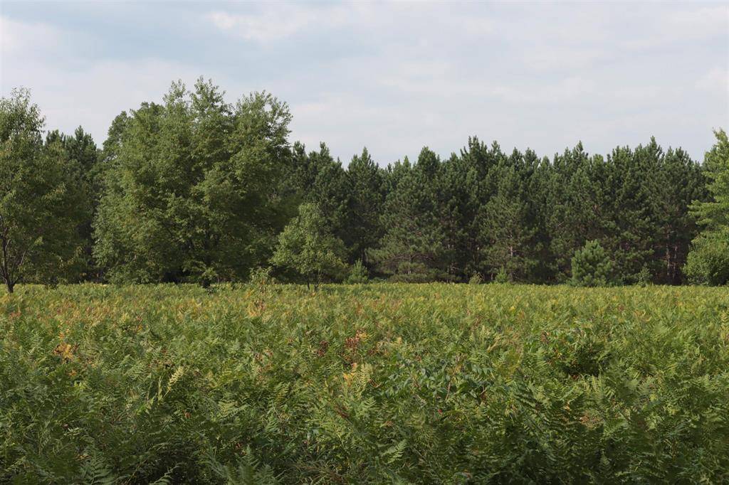 Grant Twp, MI 49643,0 Country Acres Drive