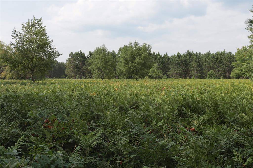 Grant Twp, MI 49643,0 Country Acres Drive