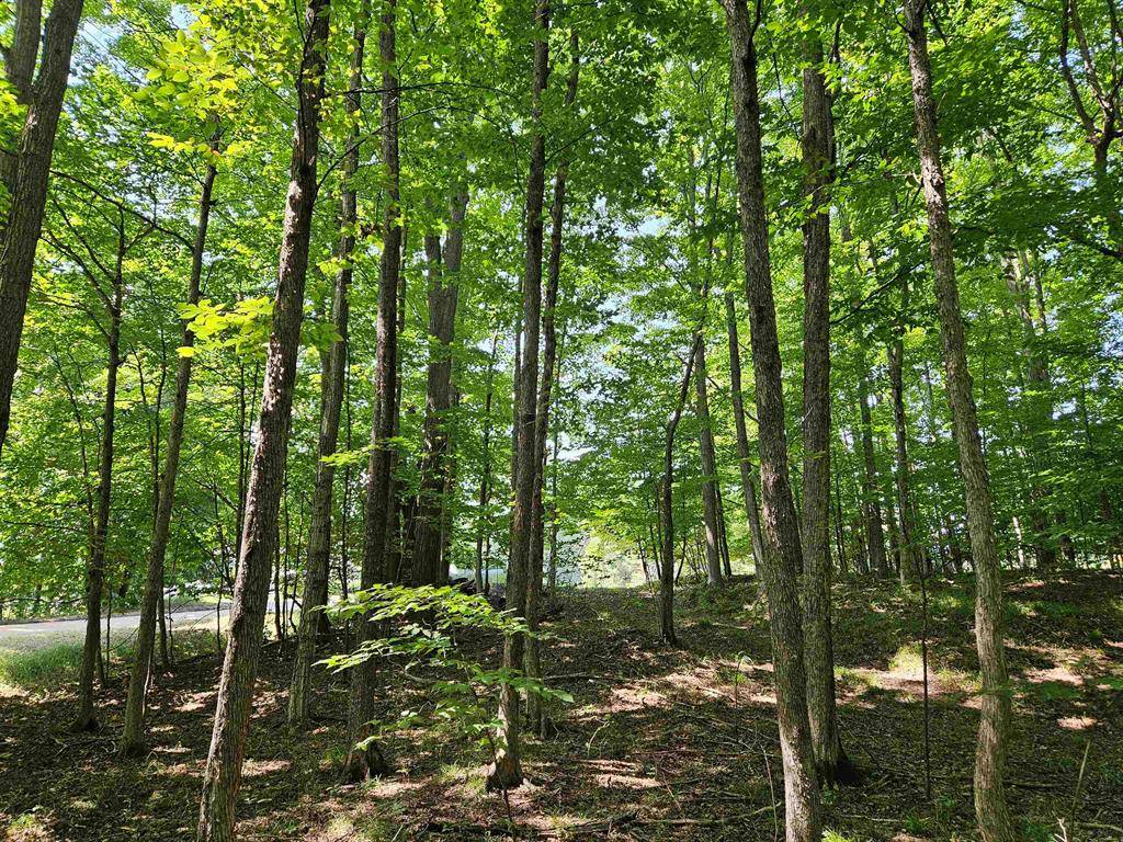 East Bay Twp, MI 49686,TBD Willsey Road