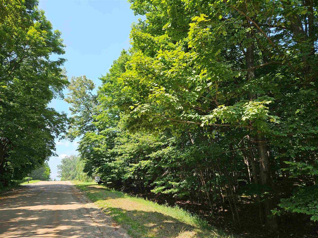 East Bay Twp, MI 49686,TBD Willsey Road