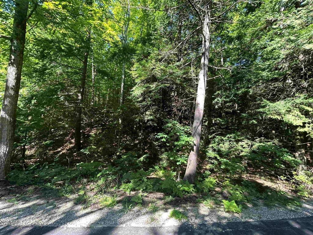 Torch Lake Twp, MI 49627,Lots 99 to 113 Manitou Trail