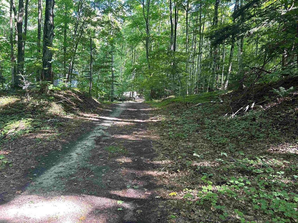 Torch Lake Twp, MI 49627,Lots 145 to 149 Neoma Trail