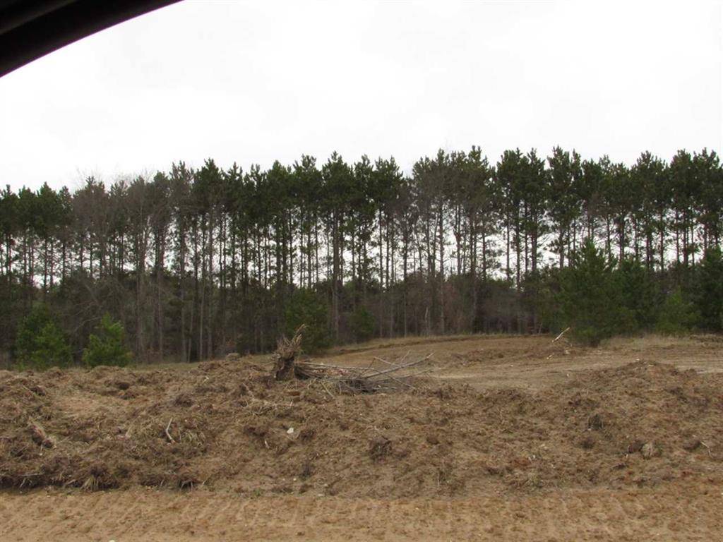 Deerfield Twp, MI 48858,2620 White Pine Drive