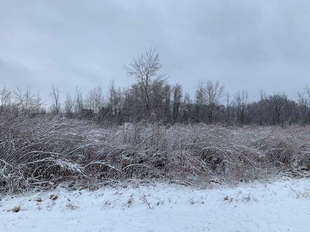 Chippewa Twp, MI 48858,S Leaton Road Lot: 10