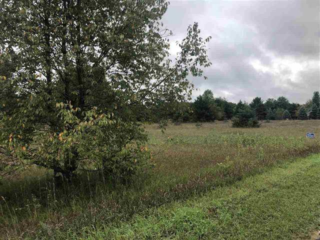 Sherman Twp, MI 48893,1027 and 1029 Pyrenees Drive Lot: 197(8)