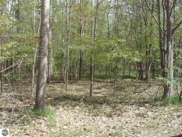 Clare, MI 48617,TBD Brookwood Drive Lot D