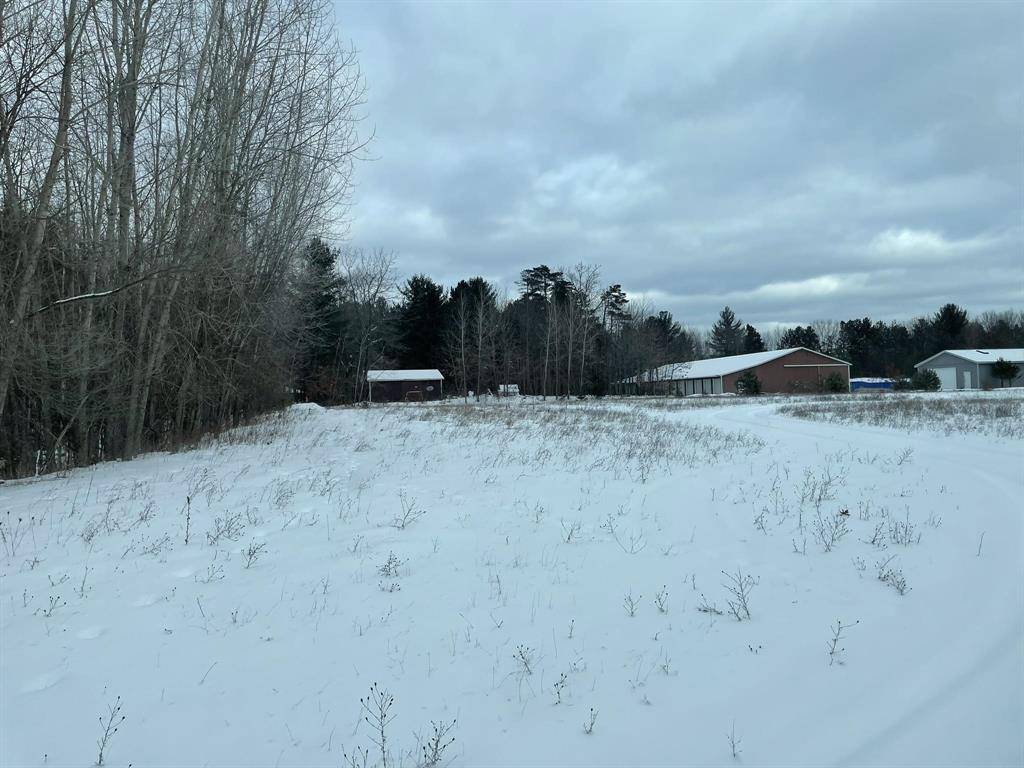 Garfield Twp, MI 48632,TBD S Partridge Avenue