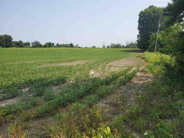 Union Twp, MI 48858,TBD S Crawford Road