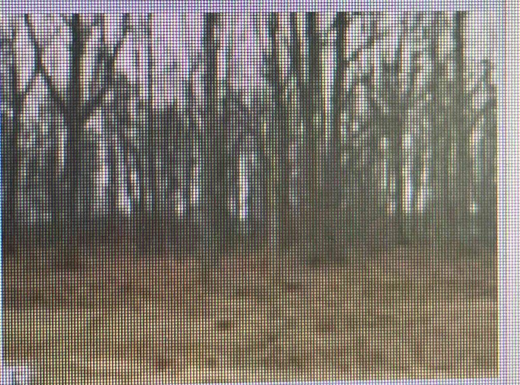 Deerfield Twp, MI 48858,000 Ridge