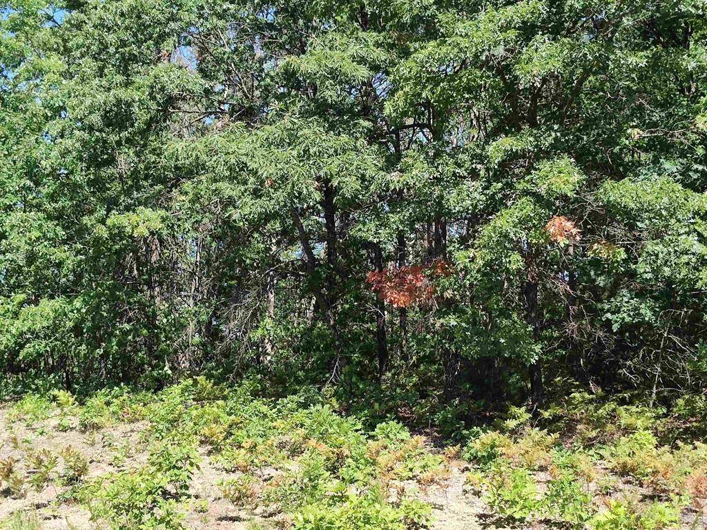 Surrey Twp, MI 48622,Lot 7 N Circle E
